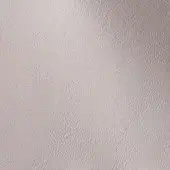 500236 - SILVER